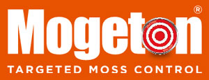Mogeton